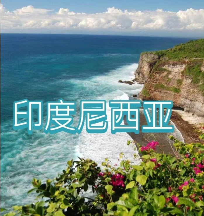 国国际电商(印尼)产业博览会mg不朽情缘网站2025中(图2) 国国际电商(印尼)产业博览会mg不朽情缘网站2025中(图2)